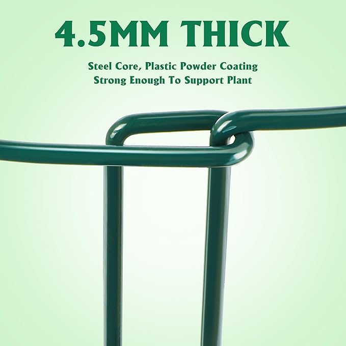 EWPJDK Plant Supports Stakes 6PCS, Half Round Metal Garden Stakes Plant Support for Peony Cages and Supports,Green Plant Support Ring Border for Outdoor Indoor Plants (10" W x 16" H, 6 PCS)