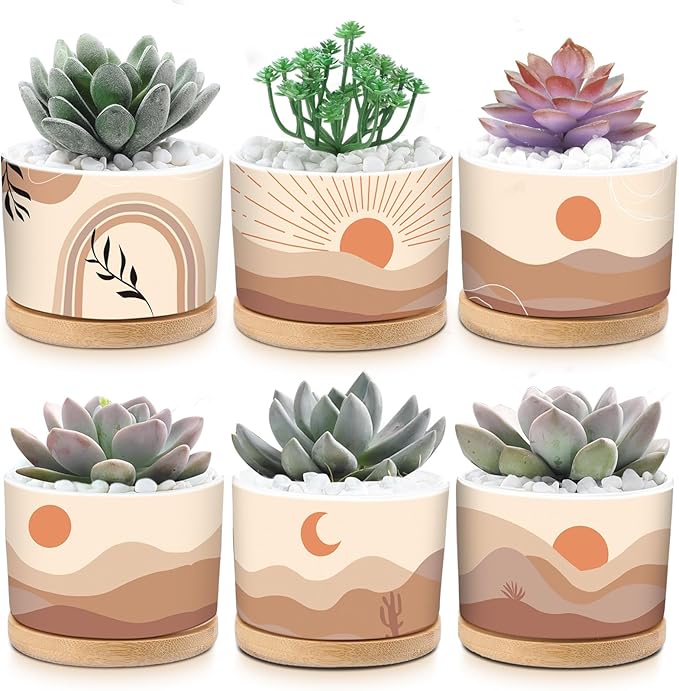 Qinyoung 6 Sets Boho Plant Pots Succulent Pot Modern Sun Ceramic Flower Planter Pot with Bamboo Tray for Indoor Plants, Aloe, Cactus, Home Office Decor