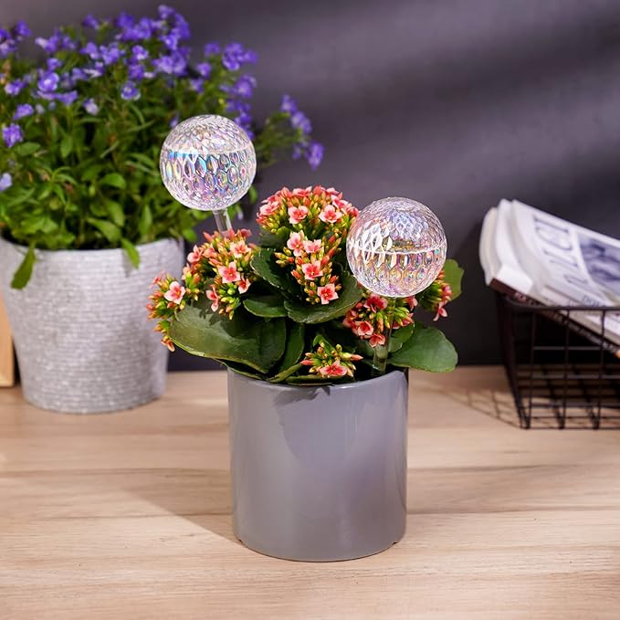 Tomorotec Glass Plant Self Watering Globes 2-Pack Pearl Luster Clear Iridescent Plant Watering Devices, Diamond Indent Pattern Self Watering Bulbs Planter Insert Decorative Vacation Watering Spikes