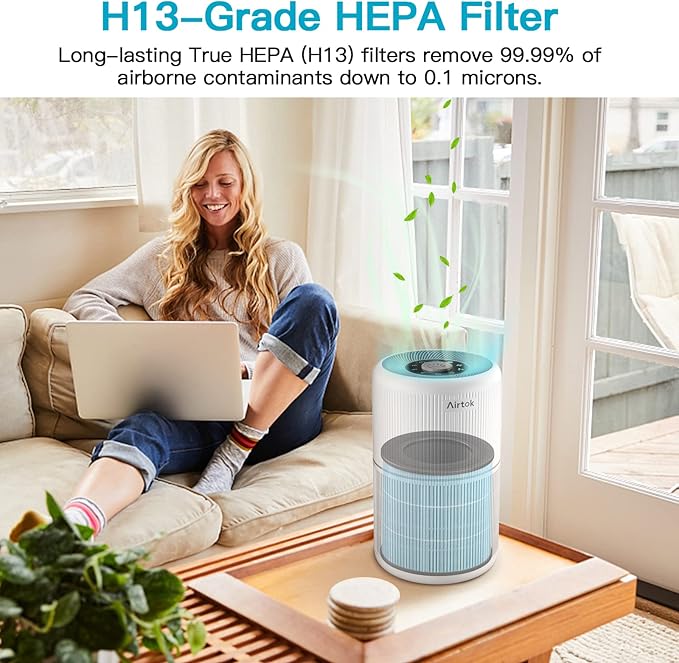 AIRTOK Air Purifier AP0601 Replacement Filters, 4-IN-1 High-efficiency HEPA Filter. (2 Pack）