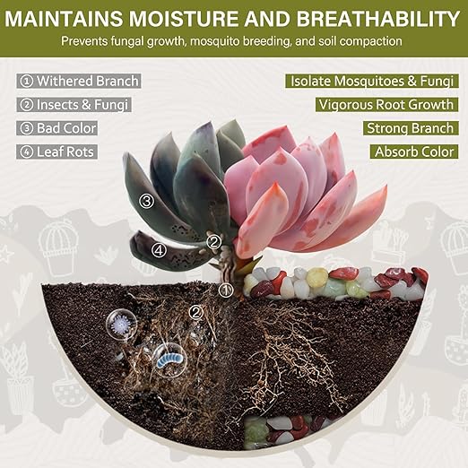 NUPICK 6 lbs Pebbles for Indoor Plants, 3/8 Inch Pea Gravel for Fish Tank, Polished Decorative Rocks for Succulent, Natural River Stones for Vases, Cactus, Landscaping, Bird Bath, Colorful Mixed