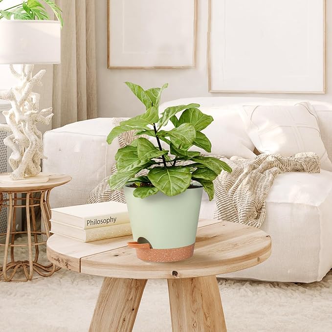 Self Watering Pot for Indoor & Outdoor Plants - African Violet, Flowers, Succulent & Cactus Plant Pots with Drainage Holes - Green Plastic Pots - Gift Idea for Lazy People - House Decor