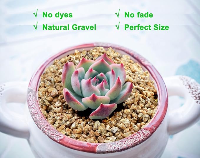 Boniosz 5lb Succulent and Cactus Maifanitum Stones, Décor & Additive Rocks,DIY Rocks Gravel for Bonsai, Fairy Gardening, Vases Fillers, Terrarium