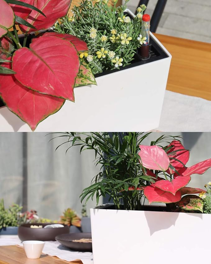SAROSORA 14" Self Watering Planter Pots with Water Level Indicator, Rectangle Matte Plastic Window Box for Indoor Outdoor, Herbs Succulents Flowers House Plants (White)