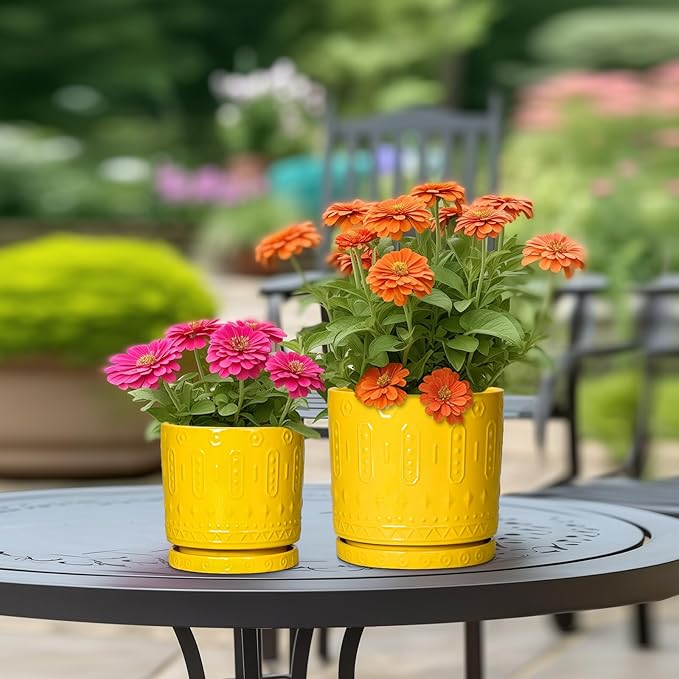 Eightpot 6 Inch Pots for Plants, Ceramic Pots for Plants with Drainage Holes and Tray, Round Planter for Indoor Outdoor, Modern Plant Pot, Decorative Flower Pot, Table Decor, Teacher Gift, Yellow