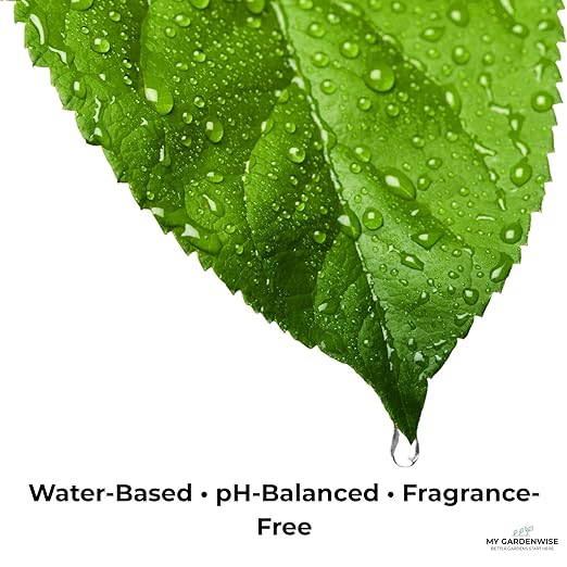 GardenWise Leaf Shine Spray for Indoor Plants – Plant Leaf Cleaner & Shine for Real House Plants – Fragrance-Free, Non-Sticky, Streak-Free Finish, 16 fl oz