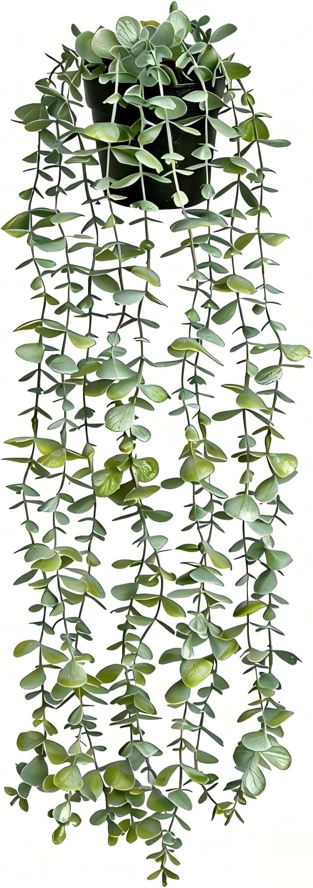 echosari Artificial Hanging Plants, Fake Potted Eucalyptus Faux Hanging Plant, Fake Hanging Plants Indoor for Modern Boho Home Bedroom Wall Book Shelf Decor