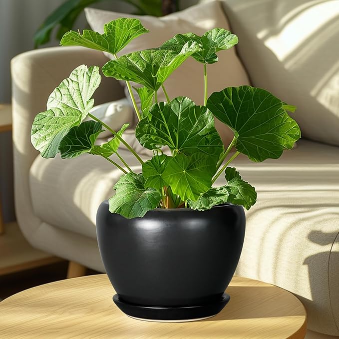 Ceramicfor Ceramic Planter Pot - 8 Inch Plant Pot with Drainage Hole and Saucer Round Planter for Indoor Plants Modern Outdoor Flower Pot for House Balcony Black