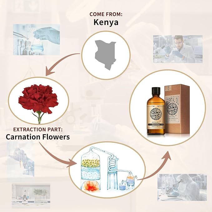 AKARZ 100ml Carnation Essential Oil Natural Carnation Oil Pure for Candle Making,DIY Skincare Products Massage,Home Spa Relaxation