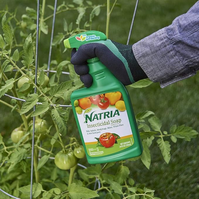 NATRIA Insecticidal Soap, Ready-to-Use Garden Bug Treatment, Insect Killer for Indoor and Outdoor Plants, 24 Ounce (Pack of 2)