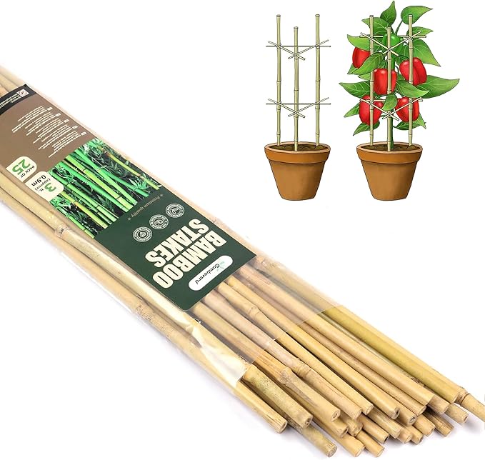 Cambaverd Bamboo Garden Stakes 3 Feet Plant Stakes for Roma Tomatoes Sunflowers Beans Potted and Climbing Plants - Pack of 25 Bamboo Sticks