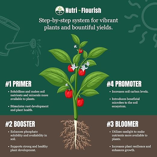 Primer – Natural Plant Enhancer | Soil & Root Support for Healthy Growth | Beneficial Bacteria Formula for Vegetables, Flowers & Ornamentals | Garden & Potting Mix Booster, 55g