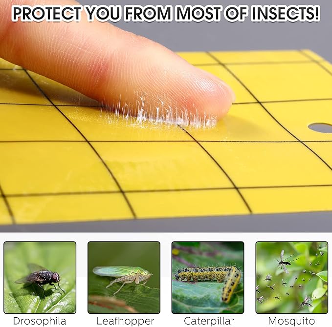 Qualirey 200 Sticky Trap for Gnats 3 x 5'' Dual Side Sticky Fruit Fly Trap with Tie Plant for Flying Insect Fungus Bugs Flying Catcher for Indoor (Yellow)