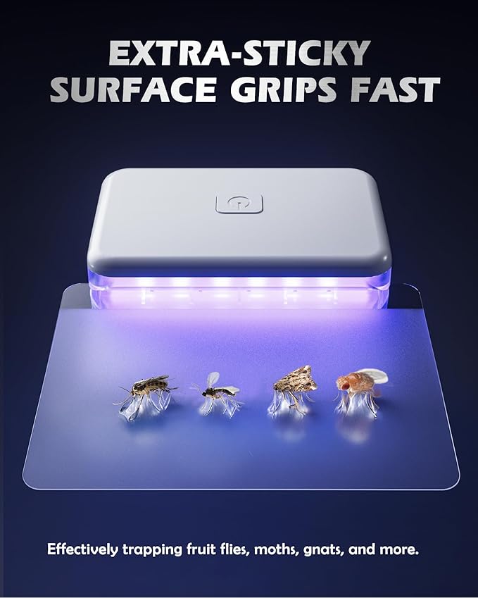 LFSYS Fruit Fly Traps for Indoors (1 Device+10 Refills) Plug in Fly Trap for Gnats, Fruit Flies, Flying Insects Sleek Design Indoor Safe