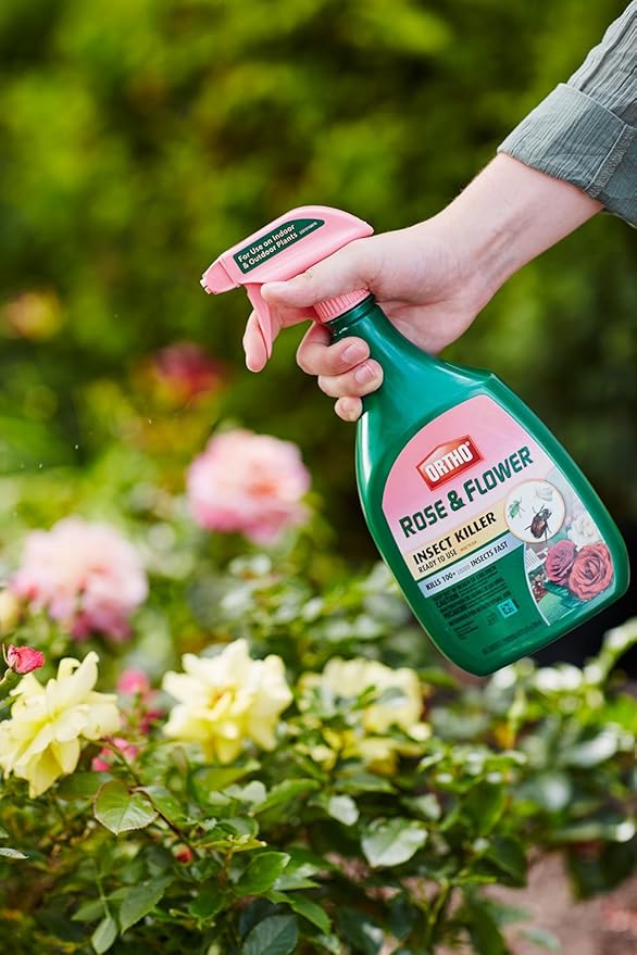 Ortho Rose and Flower Insect Killer, 24-Ounce
