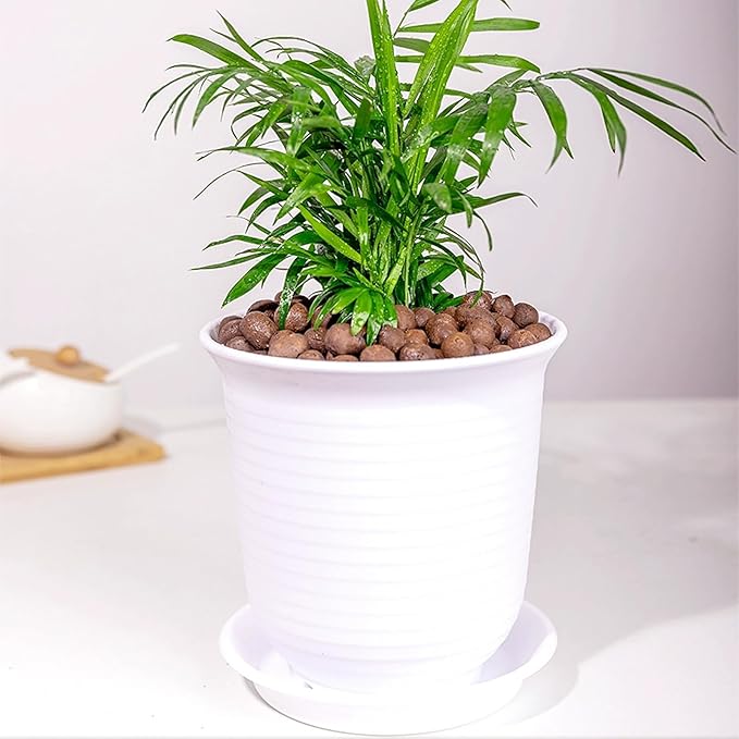 FANTIAN 2 lbs Clay Pebbles for Plants, 8-12 mm Leca Clay Balls for Indoor Plants, Orchid Potting Mixes, Hydroponic Growing, Aquaponics, Potted Top Dressing and Drainage