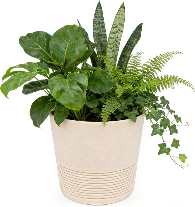 Ekirlin 7 Inch Indoor Plant Pot, Natural Resin Gravel Textures Planters, Modern Heavy Planter with Drainage Hole, Removable Rubber Stopper and Non-Slip Soft Pad, Decorative Pot for Home/Outdoor/Garden