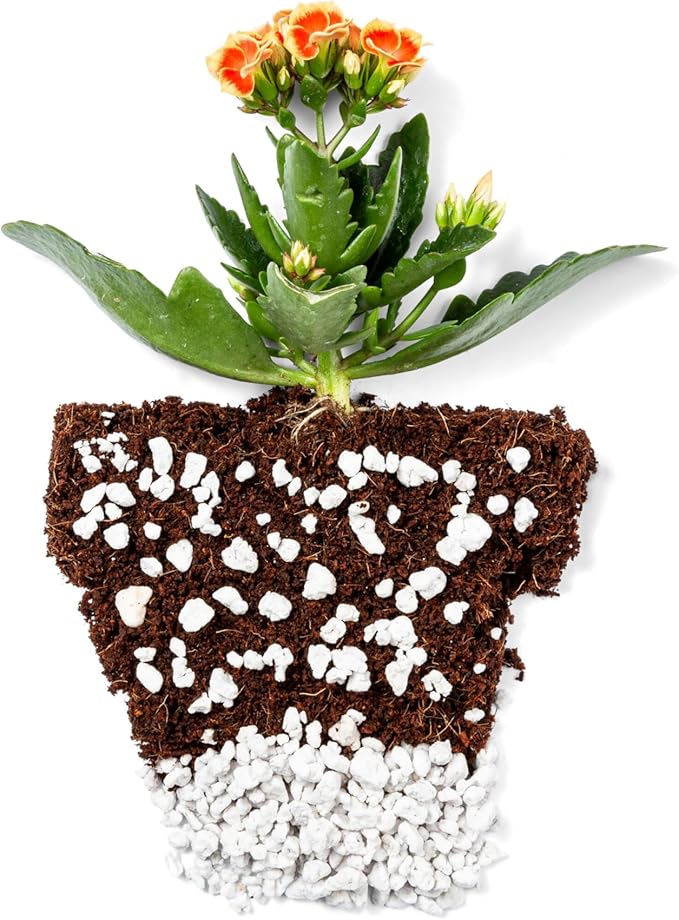 Perlite Bliss (1 Cubic Ft) - Organic Perlite for Plants Indoor Soil Amendment - Bulk Perlite for Gardening & Seed Starting - Mixes Easily with Potting Soil, Vermiculite, & Coco Coir for Plants
