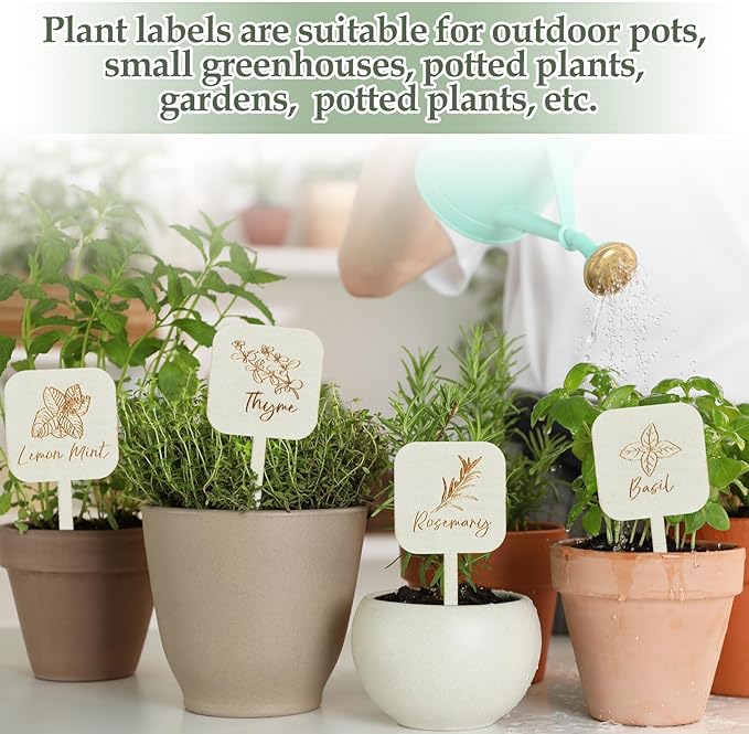 Leinuosen 30 Pcs Wooden Plant Labels Herb Markers Garden Labels with Printed Herb Name Herb Tags Wood Garden Stakes for Indoor and Outdoor Potted Seed Herbs