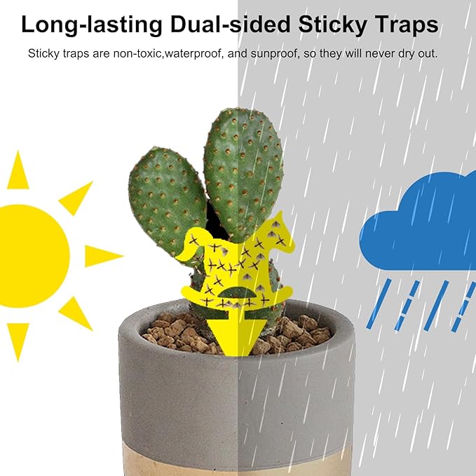 36PCS Fruit Fly Sticky Traps Fungus Gnat Traps Insect Trap for Plants Kitchen Indoor Outdoor White Flies Mosquitos Fungus Gnats Flying Insects Houseplant Gifts (Rocker Shape)