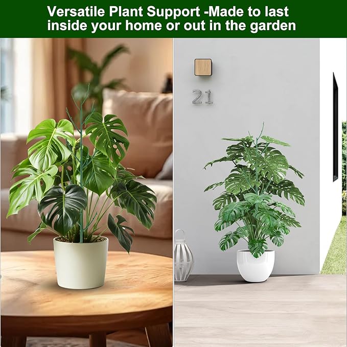 Yhtpouqe 10 Pack Stackable Monstera Plant Support, Garden Stakes for Climing Plants Stem Support, Durable Plant Accessories for Indoor Outdoor Potted Plants, Pothos, Vine, Flower Use