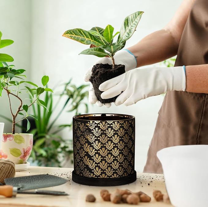 Ceramic Plant Pots with Drainage Hole & Saucer, Black & Gold Ceramic Planter Pot for Indoor & Outdoor Use, 5.5" Small Plant Pots Decorative Flowerpots for Succulents, Herbs, Cactus, Orchids Planter