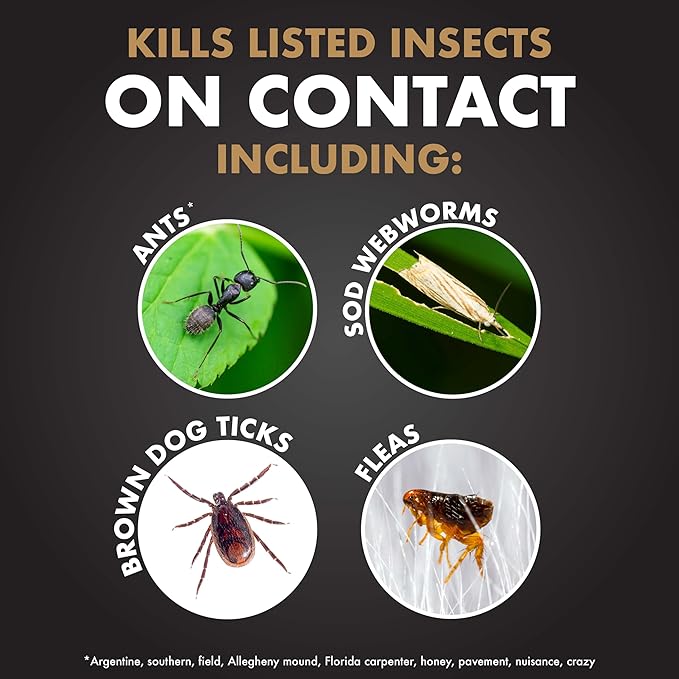 Spectracide Immunox Fungus Plus Insect Control For Lawns 32 Ounces, Dual Action, Hose-End Concentrate