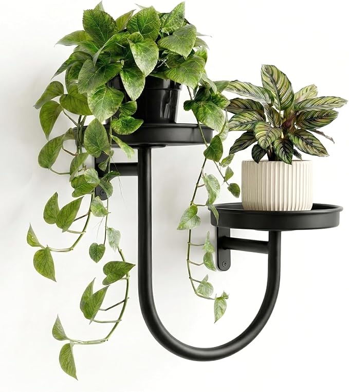 Bamworld Wall Planters for Indoor Plants Wall Plant Holder Plant Wall Shelves Metal Hanging Planters for Indoor Plants Window Plant Shelves Plant Hanger Indoor Plant Decor Black