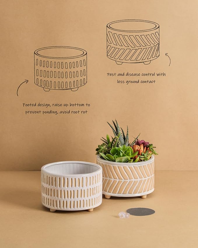 Fayoula Succulent Pots, 6 Inch Planters with Drainage Hole, Modern Indoor Plant Pots for Succulents, Herbs, Aloe, Snake Plant - Ceramic Home Décor, Set of 2