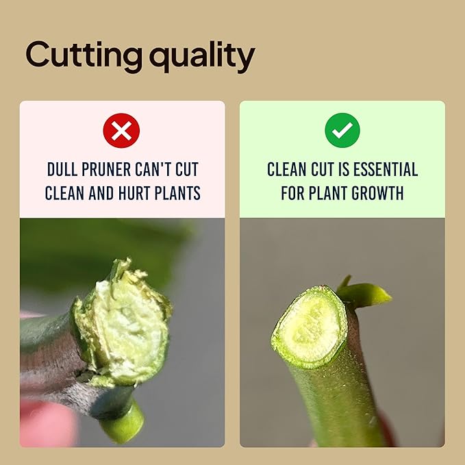 Lime Bypass Pruning Shears & Hedge Clippers - Cuts 3x Easier, Ideal for Seniors