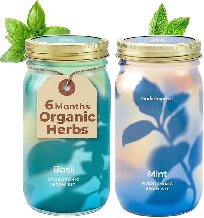 Modern Sprout Mason Garden Jar - Self-Watering Hydroponics Growing System Kit w/Organic Herb Seeds - Sprouting Jar Planter for Indoor Herb Garden -Seed Starter Kit - Home Decor & Gifting - Basil+Mint
