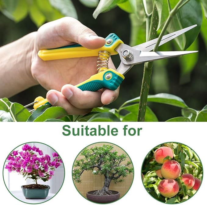 WYF Pruning Scissors, Professional Garden Shears - Straight Stainless Steel Blades - Sharp Gardening Hand Pruner for Garden Harvesting Fruits, Vegetables, Trimming Flowers and Plants, 8.1IN