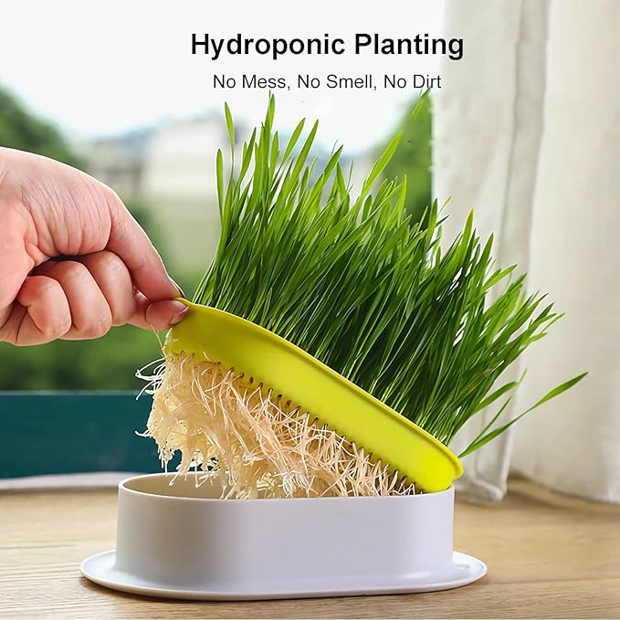 2Pcs Cat Grass Planter (No Seeds Included) Wheatgrass Planting Trays Hydroponic Cat Grass Growing Kits for Indoor Cats Soilless Organic Nursery Box Pet Grass Pot (B)