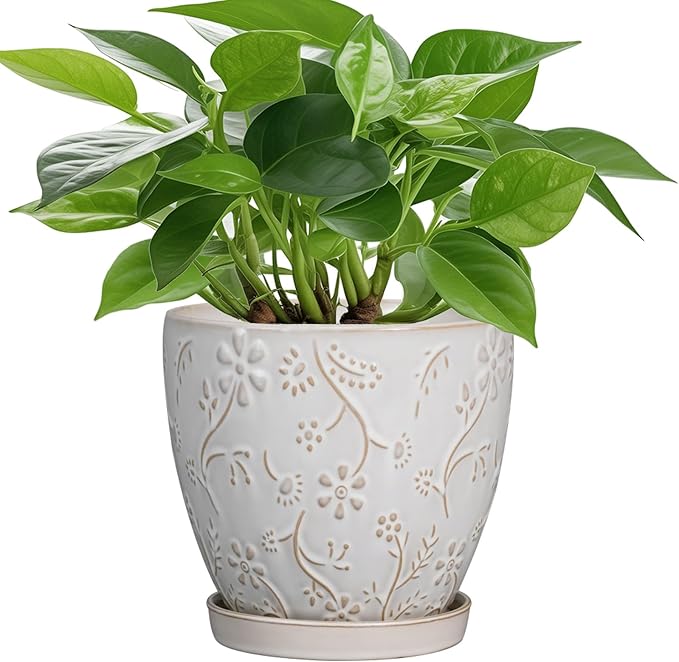 MPotTo 6 Inch Ceramic Plant Pot for Indoor Plants Outdoor Round Planter Flower Pot with Drainage Hole and Saucer for Home Garden Office Decor White