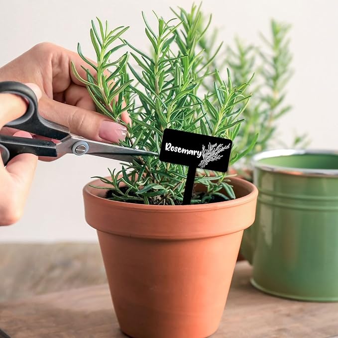 JarThenaAMCS 24Pcs Acrylic Plant Label Signs 12 Styles Spring Summer Garden Herb Markers Black Waterproof Reusable T-Type Tags Plant Stake Tags with Names for Nursery Indoor Outdoor Garden Decor