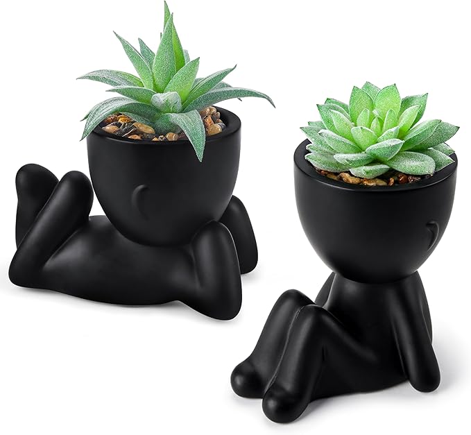 Der Rose 2 Pack Fake Plants Succulent Plants Artificial for Home Bathroom Living Room Office Decor