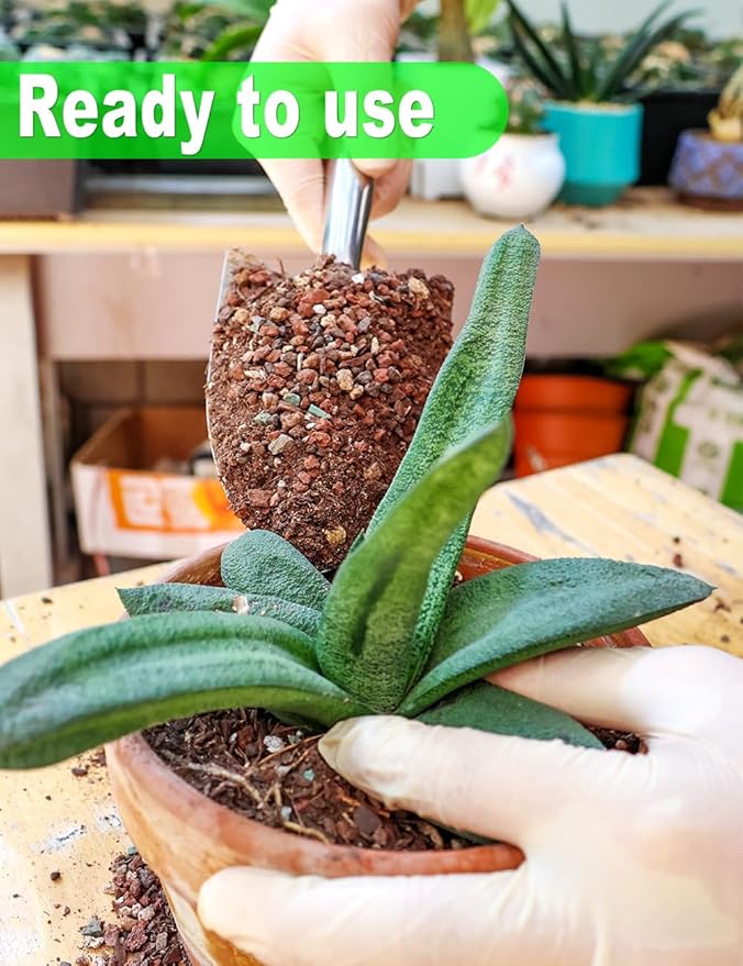 TOYPOPOR Succulent Soil, Cactus Potting Mix 12 Pounds/6QTS, High Drainage, Pre-Mixed Ready to Use for All Succulent Varieties, Indoor Plants, Bonsai, Terrarium, Houseplant, 70% Particles 30% Soil