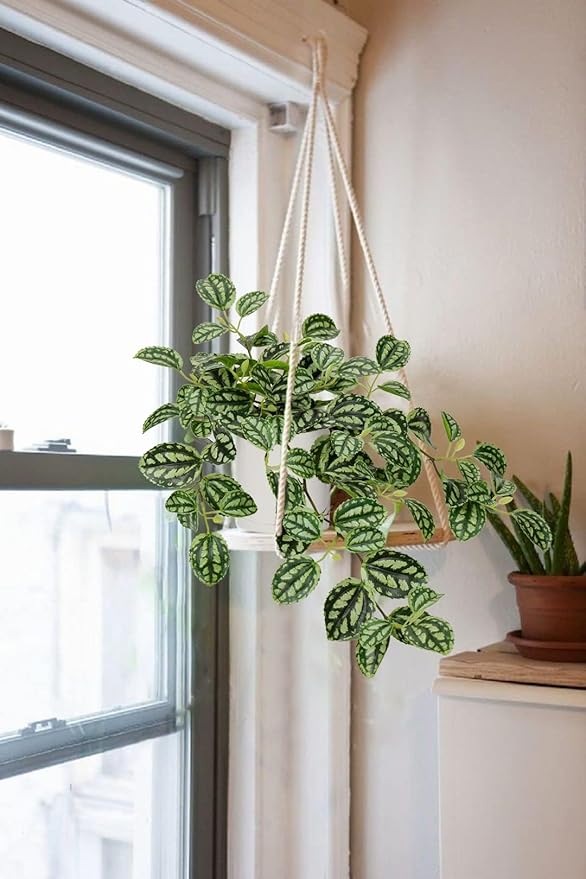 GnFlus Fake Hanging Plants, 20 Inch Artificial Ivy Plant in Ceramic Pot Faux Watermelon Peperomia Trailing Vine Plant Potted for Home Bedroom Office Table Shef Desk Indoor Outdoor Decor Green