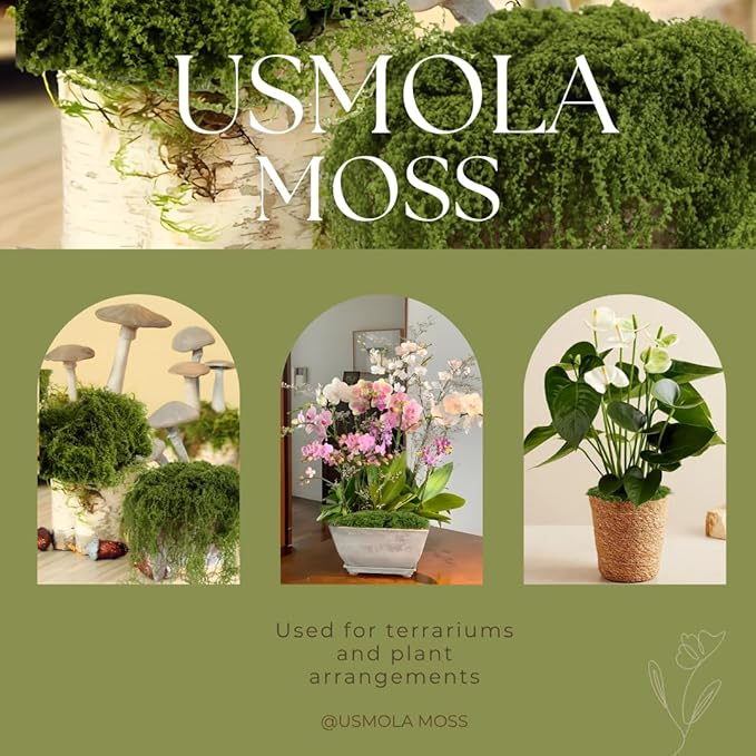 USMOLA 3.5OZ Fake Moss for Plants Indoor - Artificial Moss for Table Centerpieces, Fairy Gardens, Terrariums - Realistic Faux Grass for Wedding Christmas Party Decor (Natural Green)