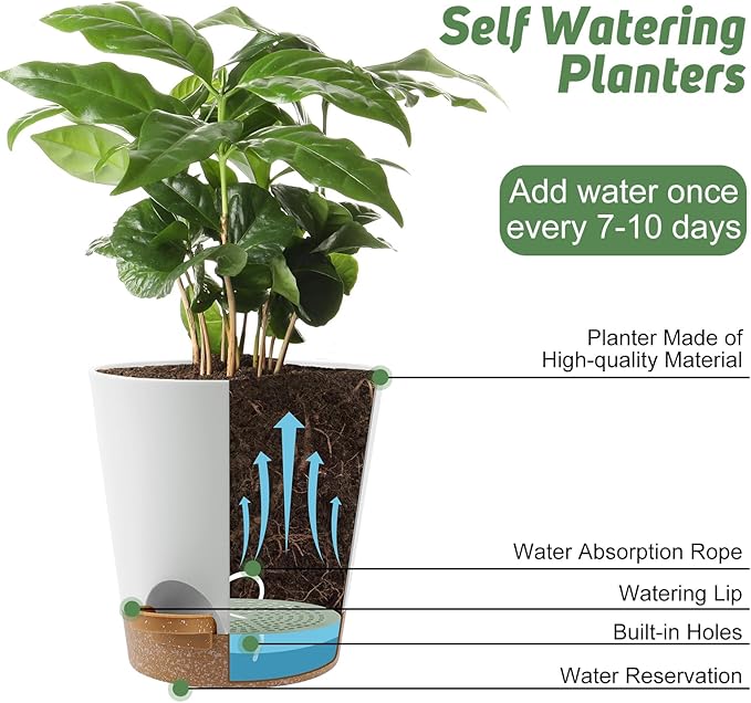 YNNICO 8-Inch Plant Pots, Self-Watering Planters with Drainage Holes & Saucers for Indoor and Outdoor Plants (2-Pack, White)