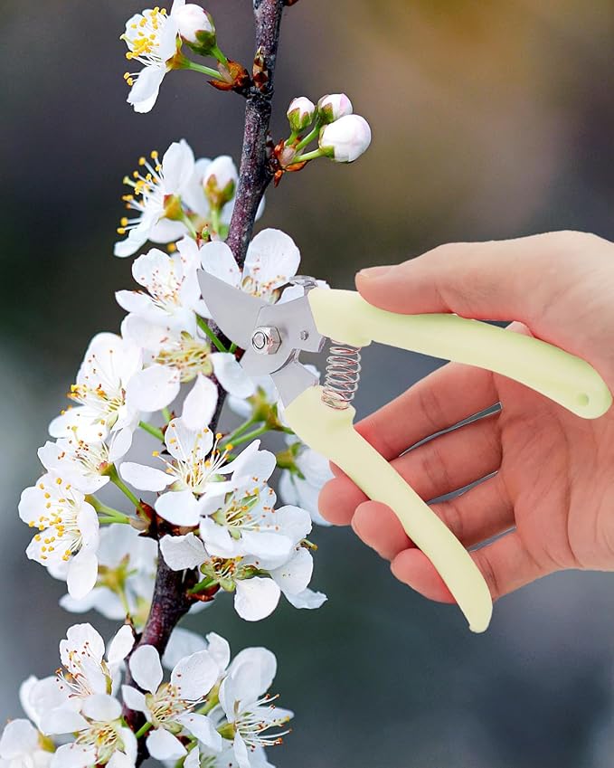Pruning Shears for Gardening, 4 Pack Garden Scissors for Cutting Fresh Flowers, Floral Clippers for Plants, Fruits (Yellow)