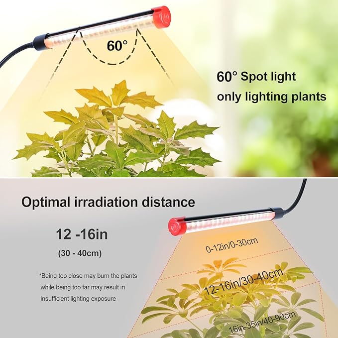 FRGROW 6Head Grow Light with Stand for Tall and Large Indoor Plants, Bonsai Tree, Big Coverage and Bright Plant Growing Lamps, 4/8/12/16/20H Timer, 54 Watt Power Draw, NO Need Adapter, 360° Gooseneck