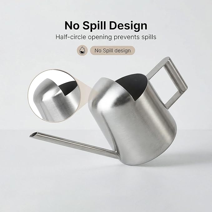 IMEEA Tiny Watering Can for Indoor Plants Bonsai Tree Stainless Steel Small Watering Can Succulents, 11oz/300ml