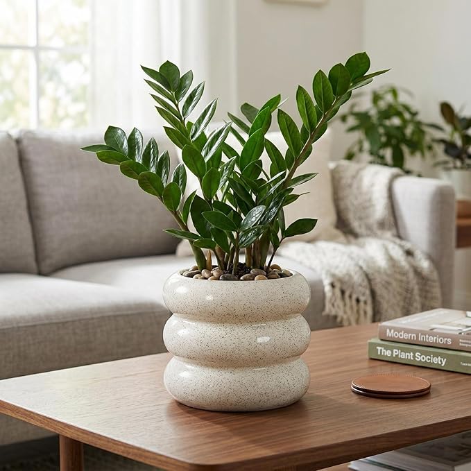 Briful Ceramic Planter Pot, 6 Inch Bubble Planter with Drainage Hole, Large Flower Planter Pots for Indoor Plants Outdoor, Home Office Modern Décor(Creamy White)