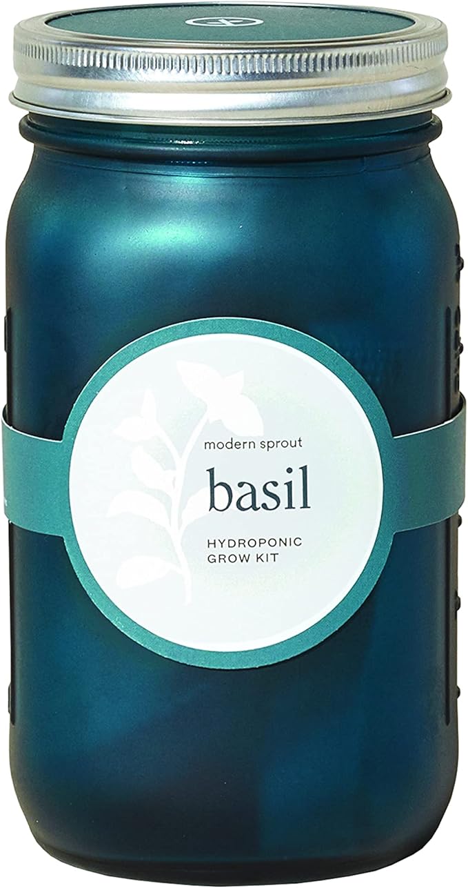 Modern Sprout Glass Jar Grow Set, Indoor Herb Garden, Seed Starter Set, Organic, Non-GMO, Basil