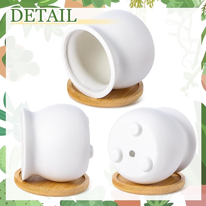 Remerry 6 Pcs 3.5 Inch Mini Succulent Pots with Bamboo Tray White Ceramic Pots Color Your Own DIY Small Planters Containers for Flower Cactus with Drainage Hole for Plant Lover
