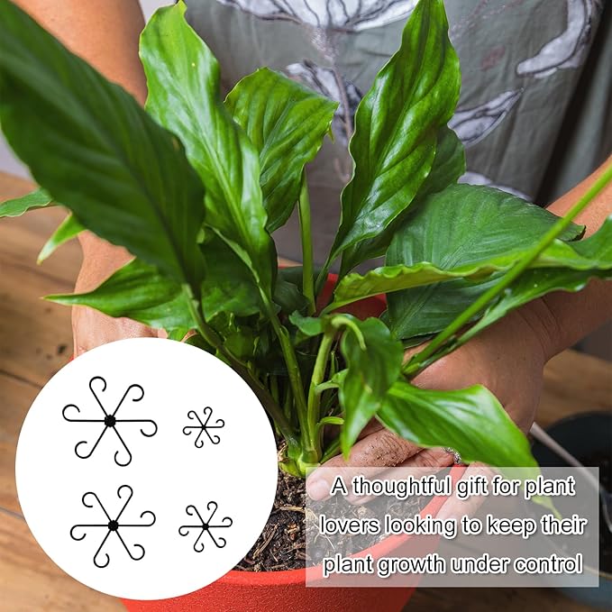 PEUTIER 4pcs Plant Stem Supports, Plastic Houseplant Climbing Holders Stabilizer Reusable Small Climbers Flower Plant Stakes Trellis Stem Hook Growth Accessories for Indoor Monstera (Black)
