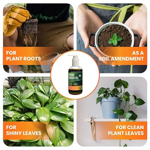 Yield Titan's 100% Pure Cold Pressed Concentrated Neem Oil for Indoor and Outdoor Plants and Vegetable (16 Oz)