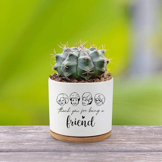 Golden Girls Merchandise,Thank You for Being A Friend,Succulent Flower Cactus Plant Pot with Drainage,Friendship Gifts for Friends Bestie Sister,Friend Gifts for Women(Plant Not Included)