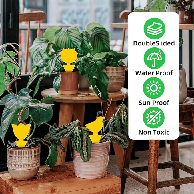 36 Pcs Sticky Traps for Fungus Gnat (Plants), Fruit Fly, Whitefly, and Fly, Yellow Sticky Insect Catcher Traps for Indoor/Outdoor, Kitchen, and Plants, High-End Glue, Non-Toxic (36 Pcs Yellow)